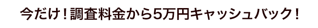 今だけ！調査料金から5万円キャッシュバック！